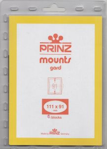 pack of Prinz / Scott 111mm x 91mm Mount