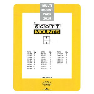 SALE pack of Prinz / Scott Multi Mount Pack 2018 Dark Mount