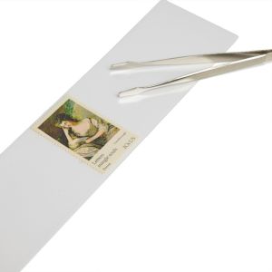 pack of Hawid Stamp Mounts 217mm x 49mm Clear Background #317809