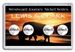 Harris 3x5 Frosty Edge Westward Journey Nickel Series American Bison Holder 4-Hole 