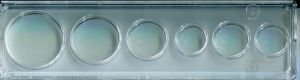 #1023 Polystyrene Canadian Mint & Proof Set Holder Penny to 1967 & before Dollar