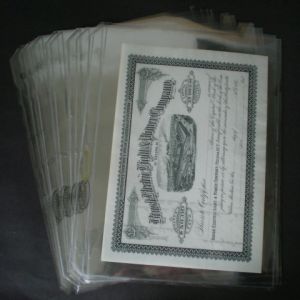 1 Pocket Supersafe Currency Page