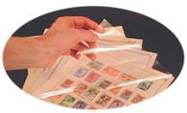 PAGE PROTECTORS - Specialty Album ACC166