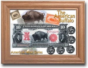 Oak Display Frame - American Buffalo