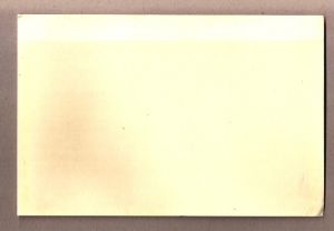 Pack of 50 Dealer Collection Cards Style 110A