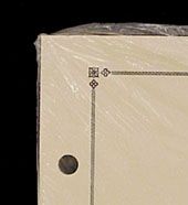 Scott Blank "C" Border Pages International #ACC130