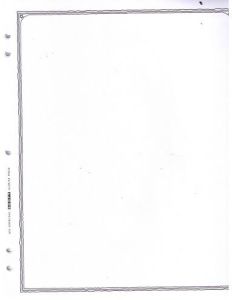 pack of 20 Scott U.S. Minuteman Blank Pages #180Z003