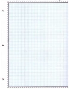 Minkus Quadrilled 3 ring pages Two Sided 8 1/2" x 11" #MQ3BL