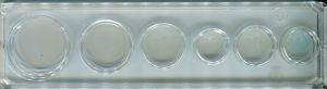 #1024 Polystyrene Canadian Mint & Proof Set Holder Penny to 1968-1986 Dollar